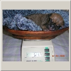 DSCN6150.JPG