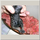DSCN6154.JPG