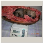 DSCN6156.JPG