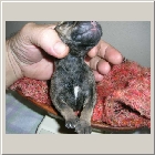 DSCN6157.JPG