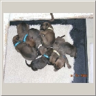 DSCN6169.jpg