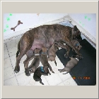 DSCN6222.JPG