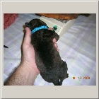 DSCN6226.JPG