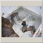 DSCN6302.JPG