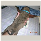 DSCN6320.JPG