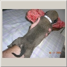 DSCN6329.JPG