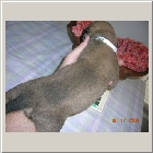 DSCN6338.JPG