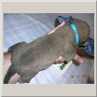 DSCN6349.JPG