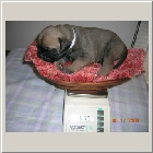 DSCN6353.JPG