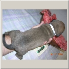 DSCN6356.JPG