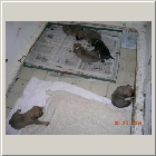 DSCN6368.JPG