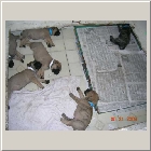 DSCN6502.JPG