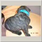 DSCN6508.JPG