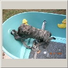 DSCN6619.JPG