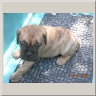 DSCN6629.JPG