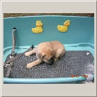 DSCN6644.JPG