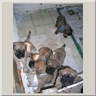 DSCN6689.JPG