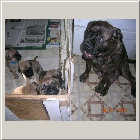 DSCN6690.JPG