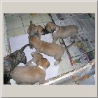 DSCN6719.jpg