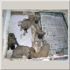 DSCN6813.JPG