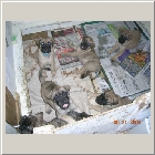 DSCN6831.JPG