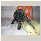 DSCN6844.JPG