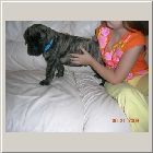 DSCN6847.JPG