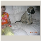 DSCN6941.jpg