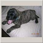 DSCN7070.jpg