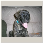 DSCN7078.JPG