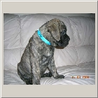 DSCN7080.JPG
