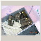 DSCN7407.JPG