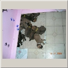DSCN7650.JPG