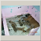 DSCN7892.JPG