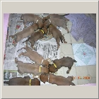 DSCN7894.JPG