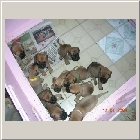 DSCN7999.JPG