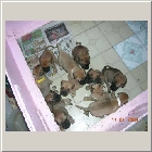 DSCN8000.JPG