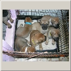 DSCN8222.JPG