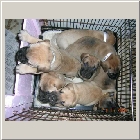 DSCN8344.jpg