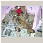 DSCN8406.JPG