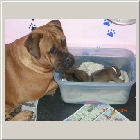 DSCN9157.JPG