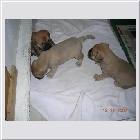 DSCN9191.JPG