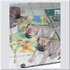 DSCN9231.jpg