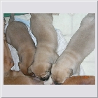 DSCN9232.JPG