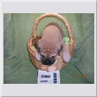DSCN9276.JPG