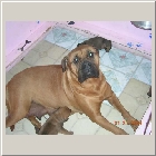 DSCN9413.JPG