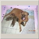 DSCN9415.JPG