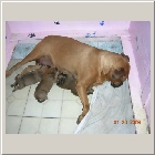 DSCN9416.JPG