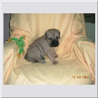 DSCN9480.JPG