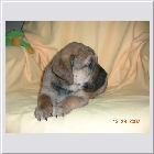 DSCN9496.JPG
